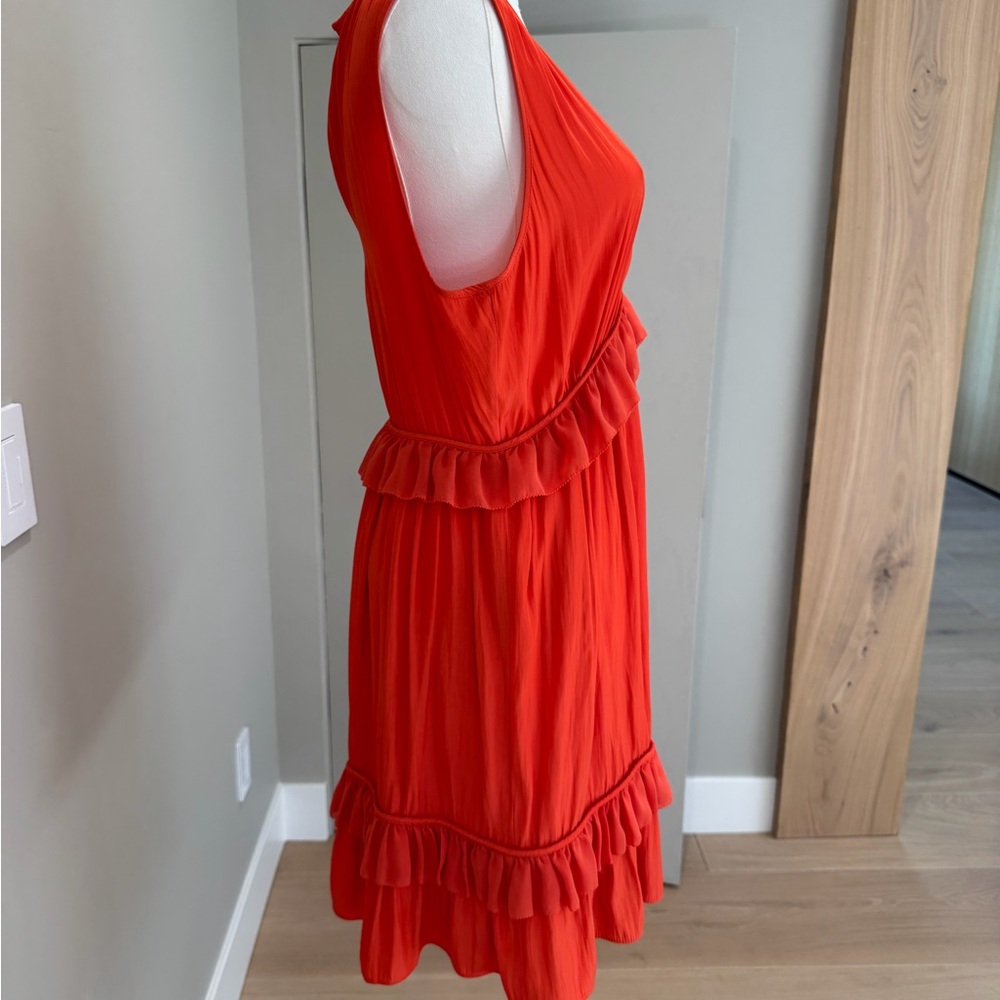 Chic Scarlet Ruffle Mini Dress - Picture 3 of 4